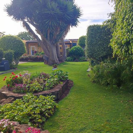 La Chimenea Verde Tacoronte Dış mekan fotoğraf