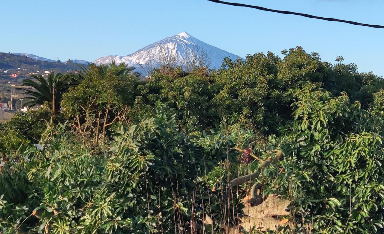 La Chimenea Verde Tacoronte Dış mekan fotoğraf